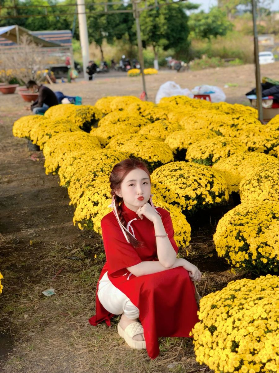 Gái Mặc Áo Đỏ Ngồi Bên Những Khóm Hoa Cúc Vàng