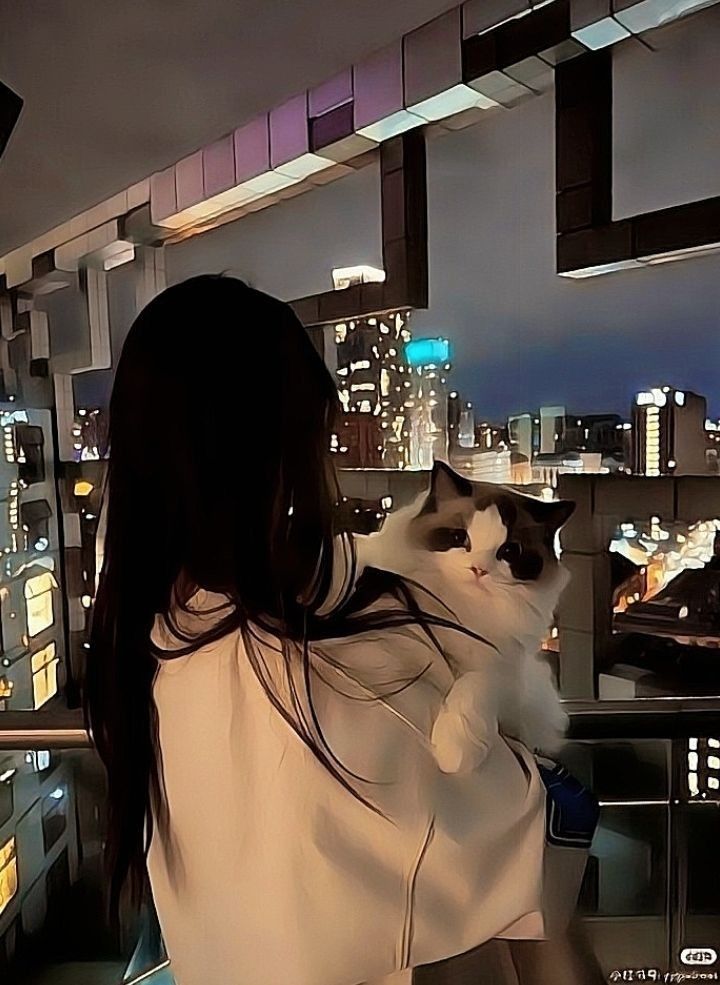 Cô gái mặc áo trắng ôm mèo giữa phố đêm yên bình