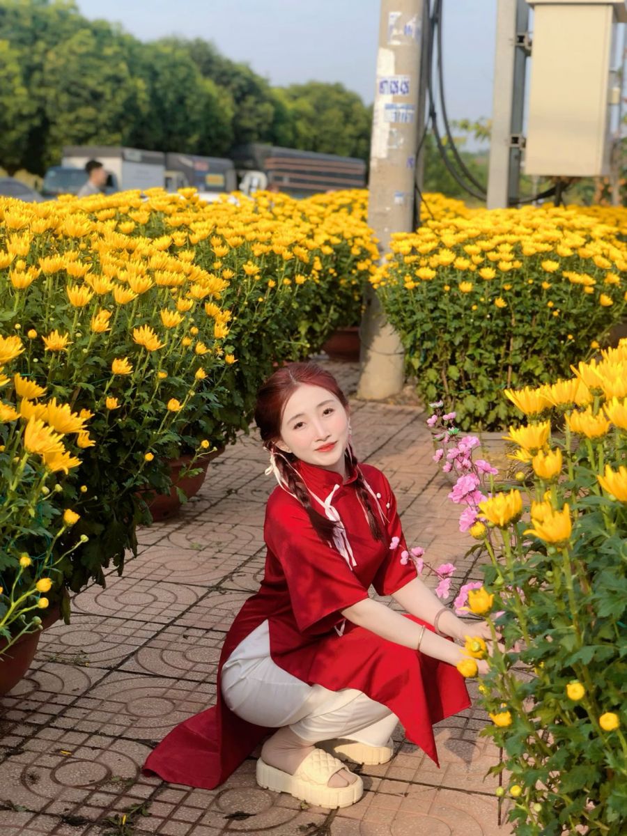 Cô gái trẻ mặc áo dài đỏ giữa vườn hoa cúc vàng tươi sáng