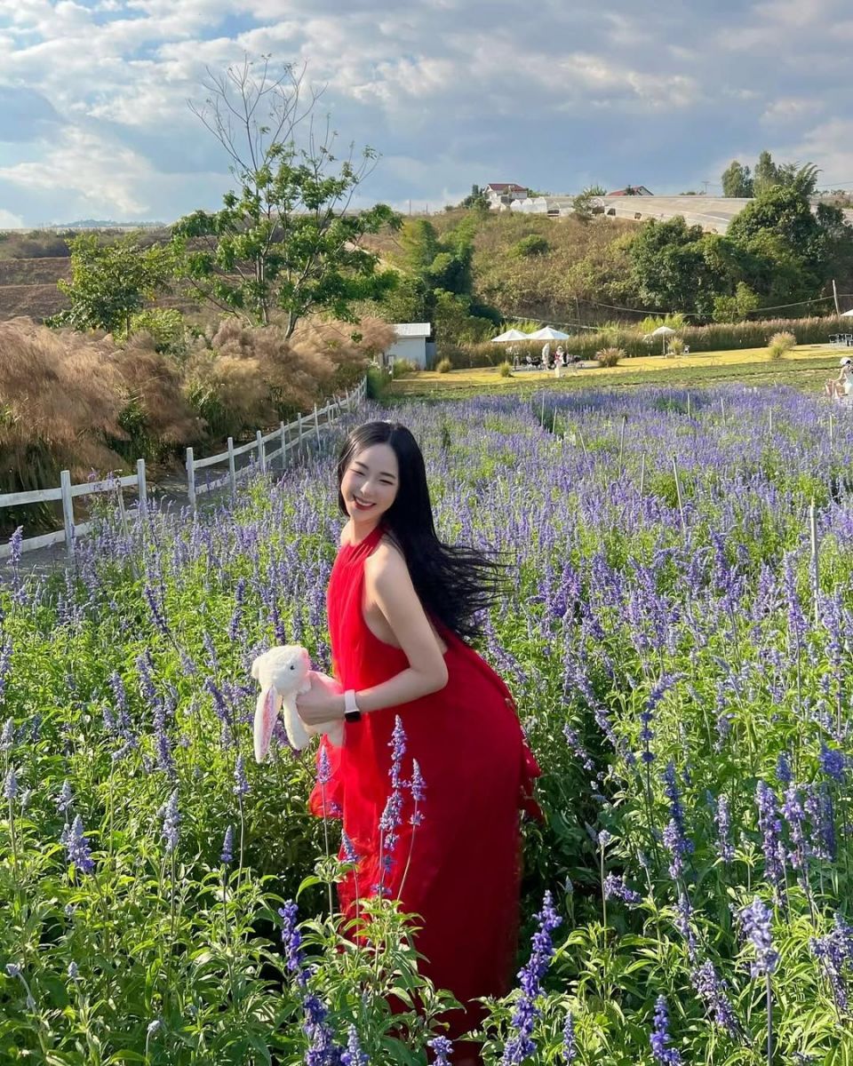 Cô gái xinh đẹp giữa cánh đồng hoa tím