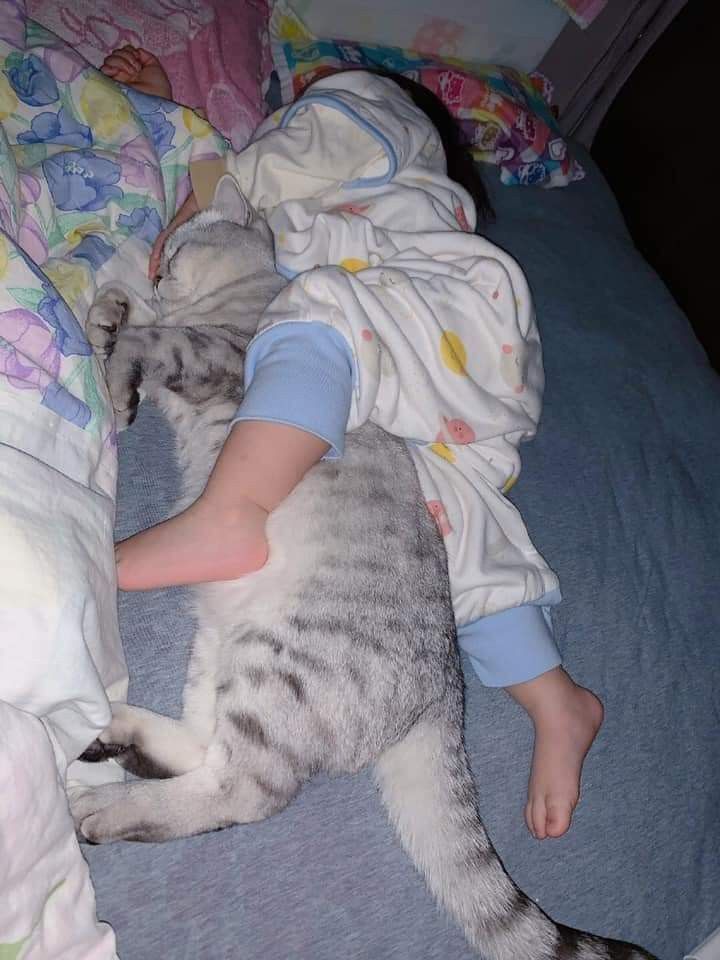 Gái Xinh Mặc Pijama Trắng Ngủ Say Trên Giường