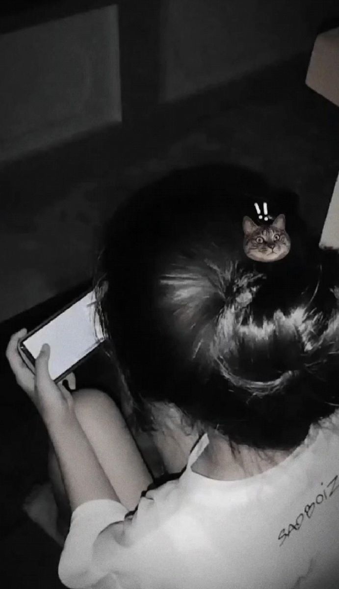 Ảnh gái trẻ mặc áo phông trắng ngồi cầm điện thoại