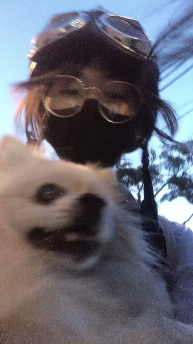Gái đeo kính cùng chó Pomeranian đáng yêu