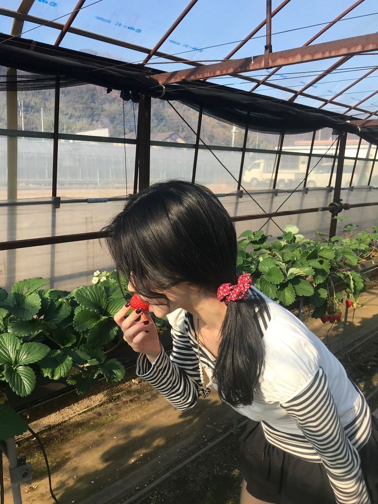 Gái xinh mặc áo sọc giữa vườn dâu tây đầy cảm xúc