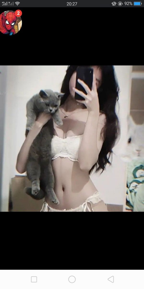 Ảnh gái xinh với mèo trong phòng chụp selfie vui vẻ