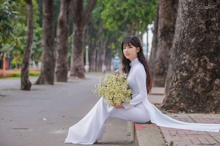 Gái xinh mặc áo dài trắng bên con đường cẩm bồ hoa trắng vàng
