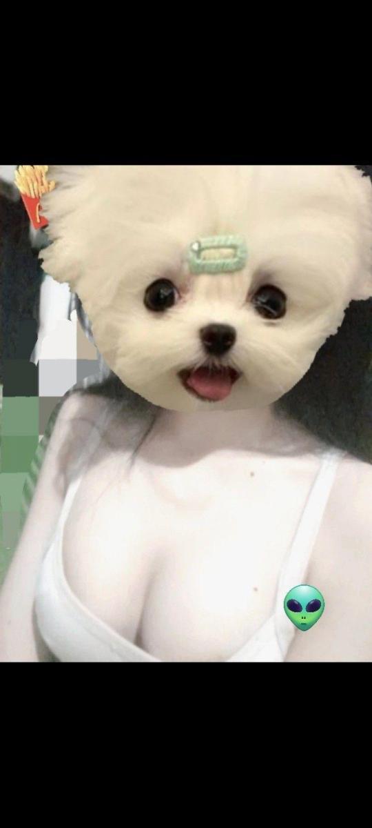 Gái xinh mọng nước với mặt gái cute
