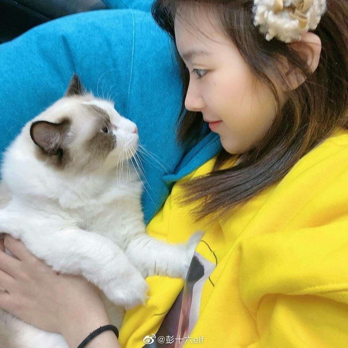 Ảnh gái xinh che mặt với mèo cute