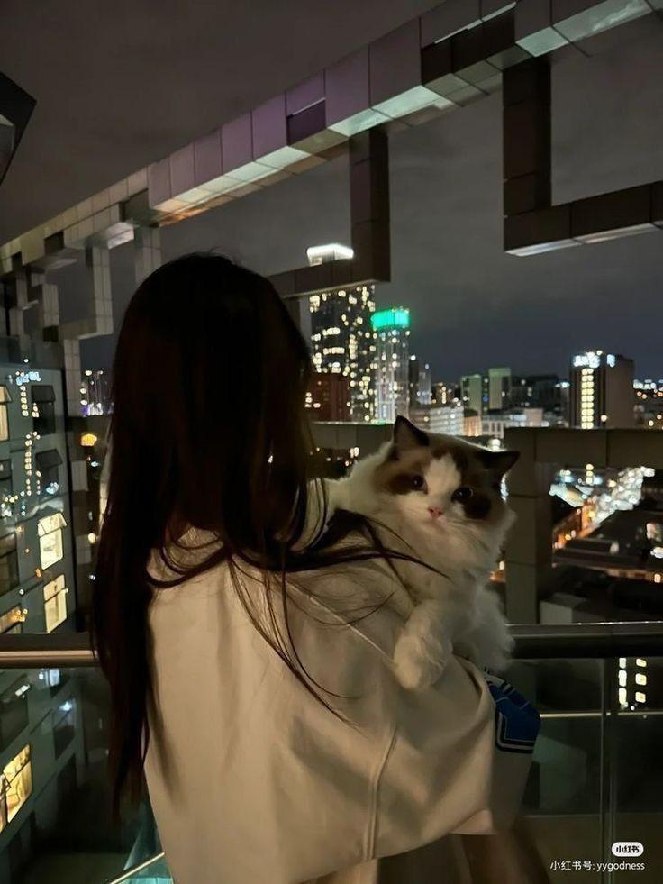 Gái xinh hở ngực to bên con mèo xinh