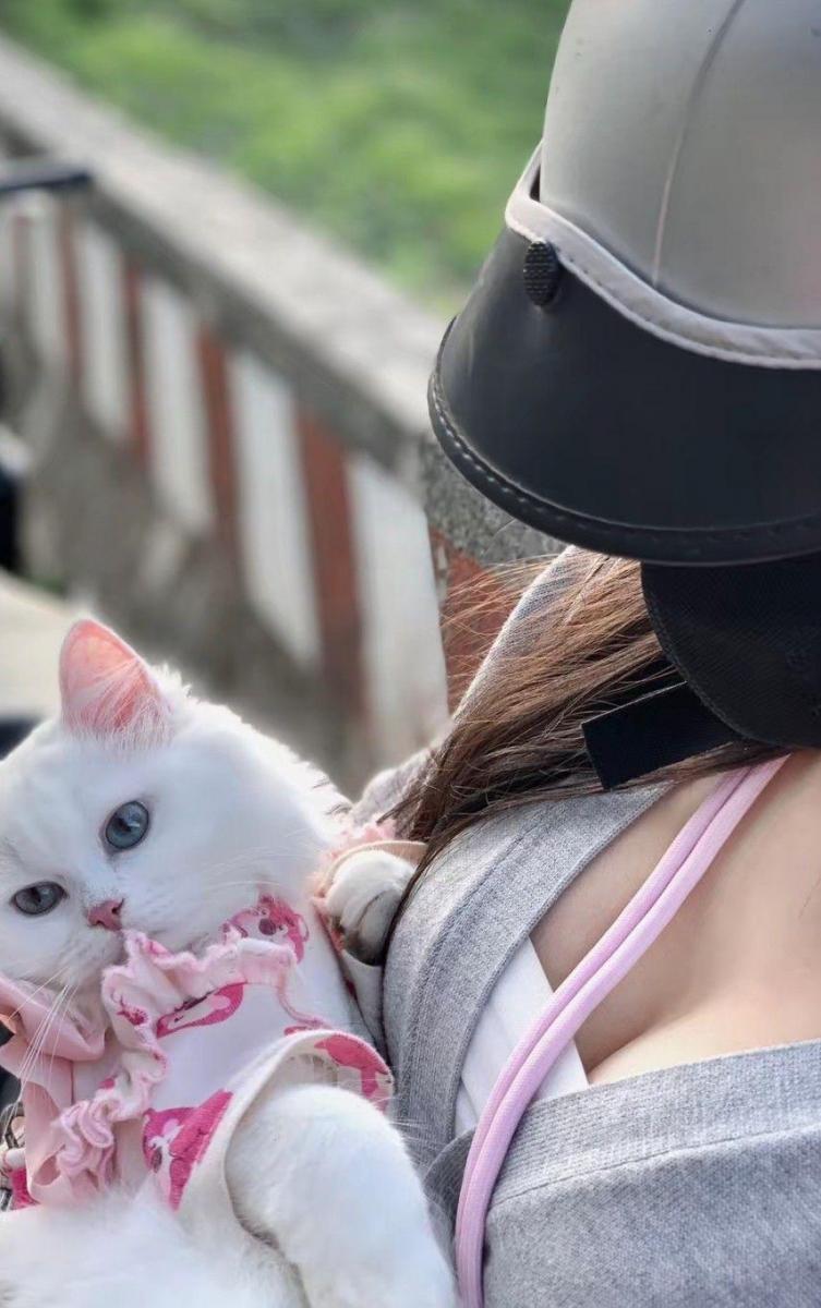 Gái Xinh To Mèo Ho Felidae