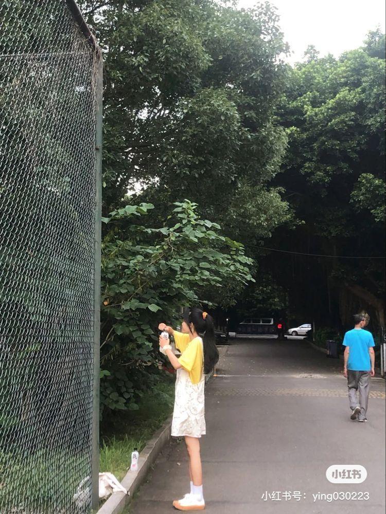 Hình gái xinh tắm đẹp nhất mùa hè