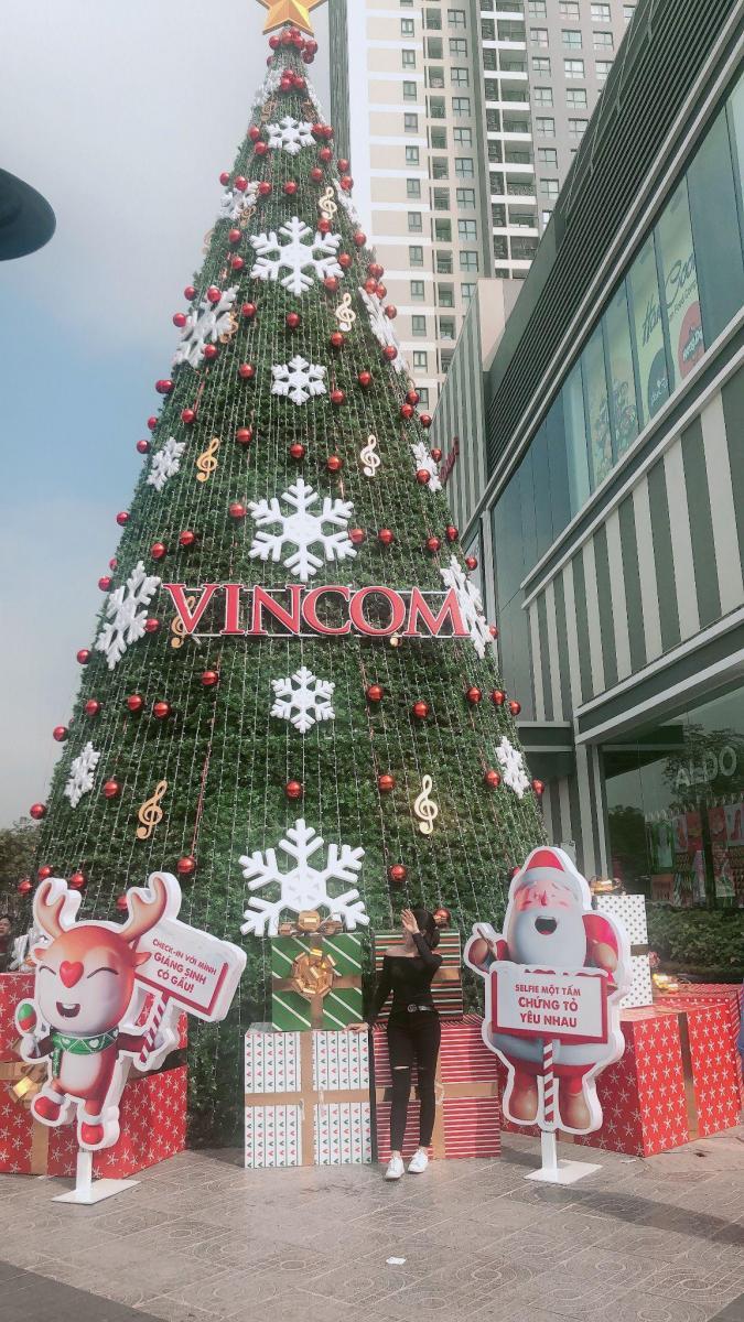 Ảnh gái xinh học sinh trang trí giáng sinh cây thông Noel