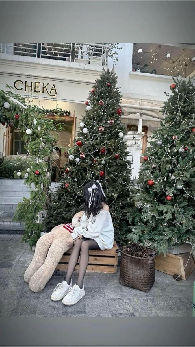 Ảnh gái xinh sinh nhật bên cây thông Noel