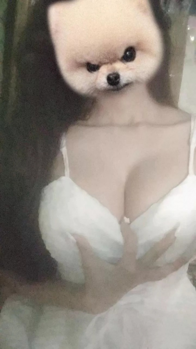 Cô gái xinh xắn bên đồ chơi ngộ nghĩnh