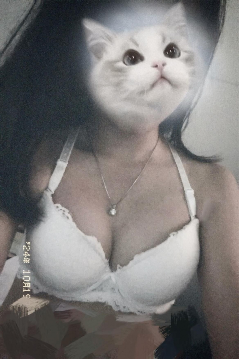 Ảnh Gái Mèo Ho Felidae Đỏ Lót