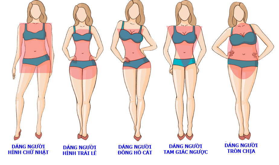 So sánh kiểu dáng gái múp ngực to và những kiểu khác